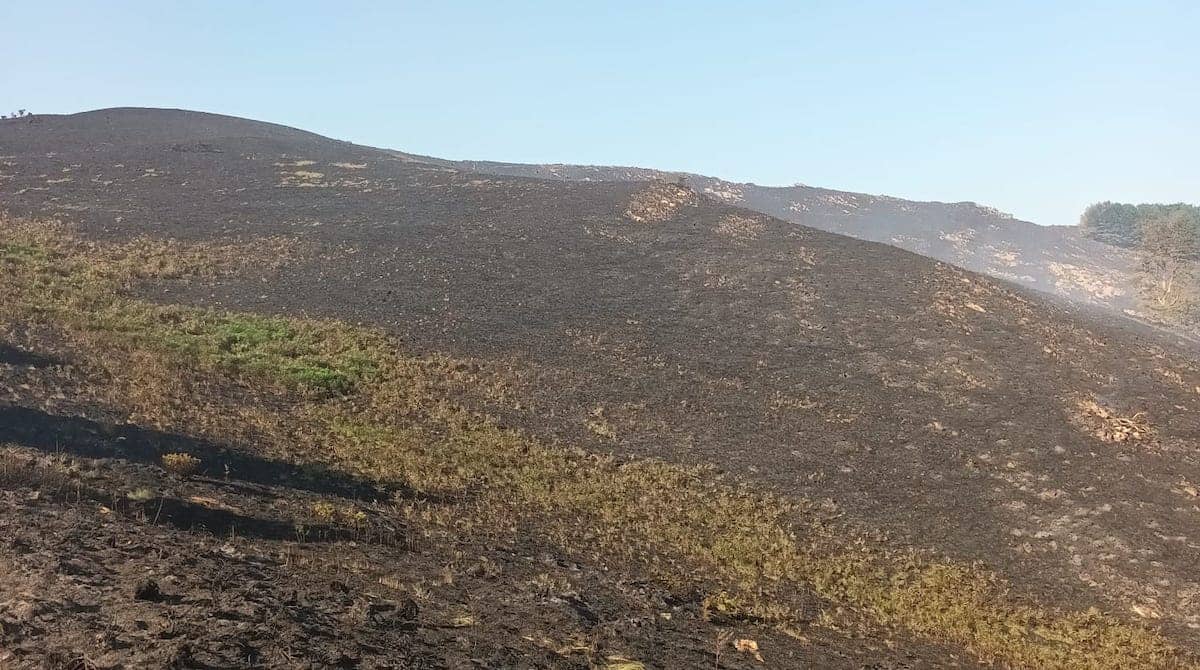 Arastortz mendia sutearen ondoren 1 20220619