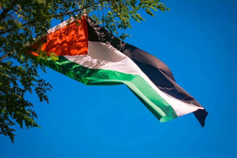 Palestinako bandera zuhaitz batean 20231106