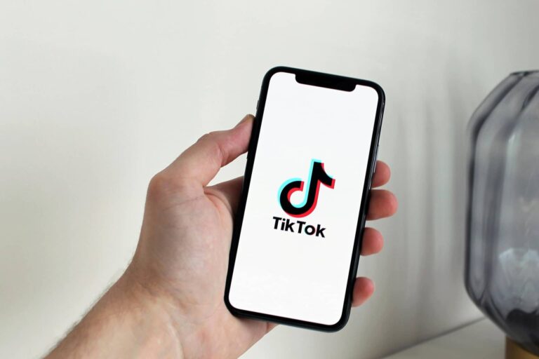 TikTok mugikorreko aplikazioa 20250513