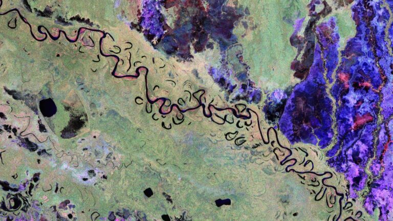 Satelite bidezko Boliviako oihan baten irudia (ESA) 20250623