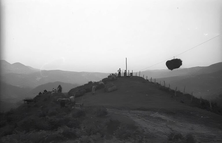 Kableen bitartez belarra garraiatzen Uztegin