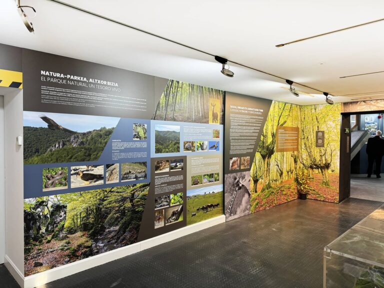 Lizarrustiko Parketxeak bere erakusketa berritu du Aralarren kultur eta natura ondarea nabarmentzeko Lizarrustiko Parketxearen erakusketa berria (Gipuzkoa Natura) 20251106