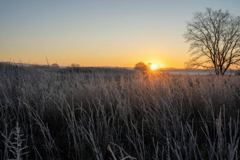Euskalmet: udazken meteorologikoa lehorra eta beroa izan da, eta mende honetako hirugarren lehorrena da Udazken goiz fresko bateko egunsentia 20251116