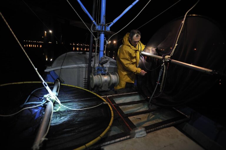 Angulero bat Oria ibaian arrantzuan (Mikel Arrazola) 20090224