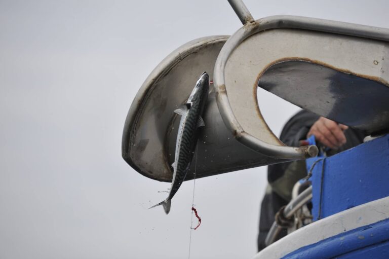 Berdelaren arrantzan Bermeoko arrantzaleak (Mikel Arrazola) 20090218